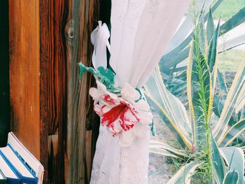 Side view of woman holding umbrella standing on wood