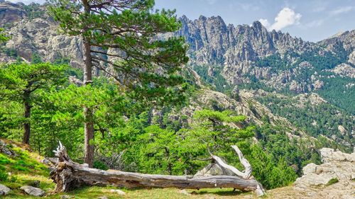 Scenic view of rocky mountains