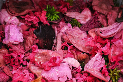 Full frame shot of pink roses