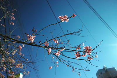 Low angle view of electricity pylon against blue sky