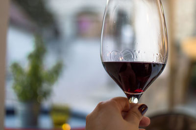 Close-up of hand holding glass of wineglass