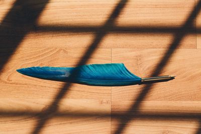 High angle view of feather on hardwood floor