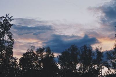 Low angle view of trees against cloudy sky