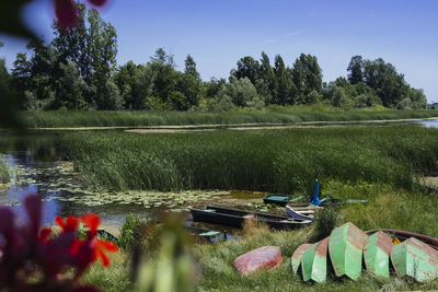 Scenic view of lake