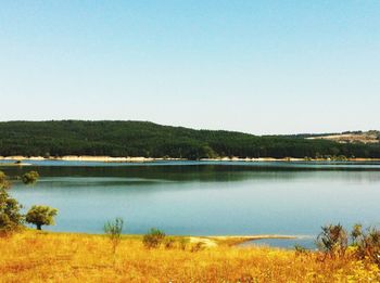 Scenic view of calm lake against clear sky