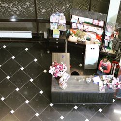 High angle view of potted plants on table