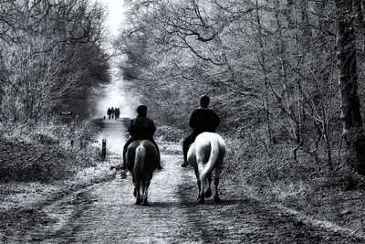 Rear view of people riding horses