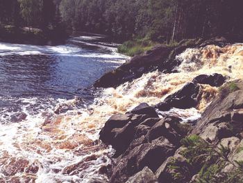 River flowing through forest