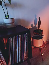 High angle view of potted plant on table at home