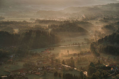 Foggy morning in poland