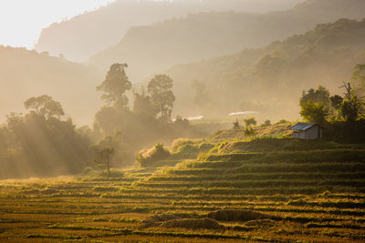 Scenic view of field against mountains