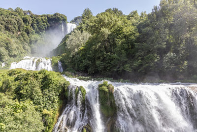 Scenic view of waterfall in forest