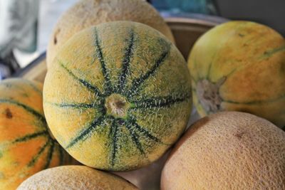 Close-up of fruits