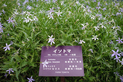 Close-up of text on plant