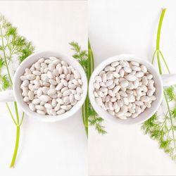 Directly above shot of plants against white background