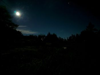 Scenic view of silhouette trees against sky at night