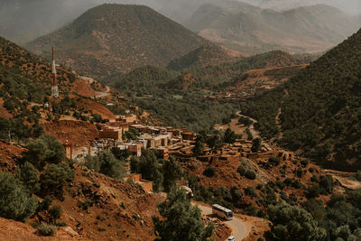 High angle view of trees and buildings