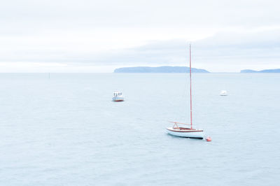 Sailboat sailing on sea against sky