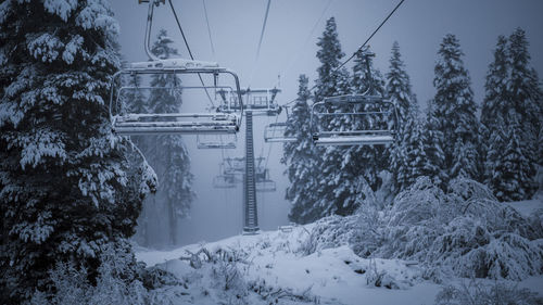 Low angle view of empty ski lift amidst trees on mountain during winter