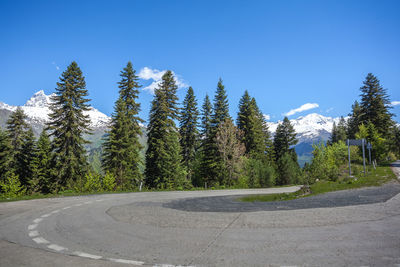 Road by trees against clear blue sky