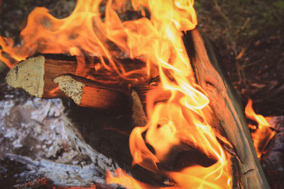 Close-up of bonfire