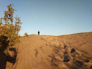 Rear view of man walking on desert against clear blue sky