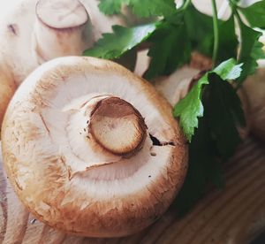 Close-up of mushrooms with cilantro on table