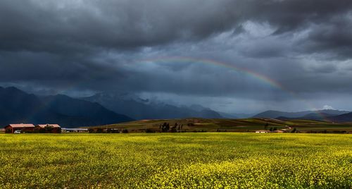 Scenic view of field against cloudy sky