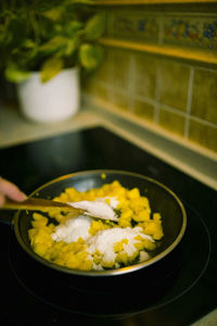 Close-up of food on plate