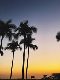 Low angle view of silhouette palm trees against romantic sky