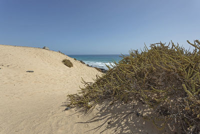 Scenic view of sea against clear sky