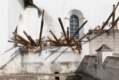 View of bamboos on building terrace