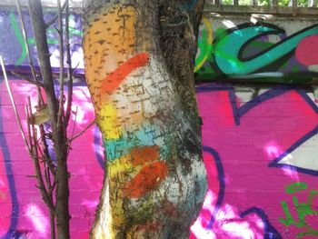 Close-up of graffiti on tree trunk