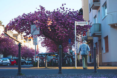 People walking on street amidst buildings in city