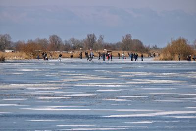 People on snow covered trees against sky