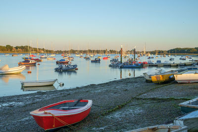 Boats moored at harbor against clear sky