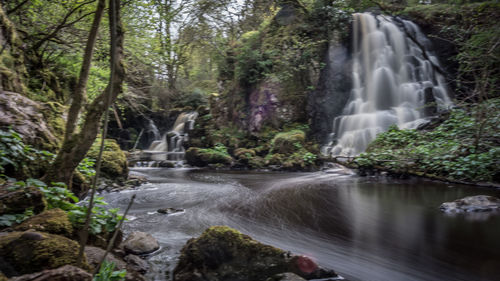 Scenic view of waterfall in forest