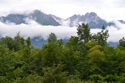 Scenic view of trees and mountains against sky