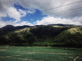 Scenic view of field against sky
