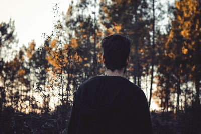 Rear view of man standing by trees in forest