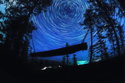 Low angle view of silhouette trees against sky at night