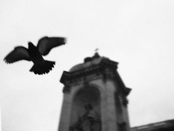 Close-up of built structure