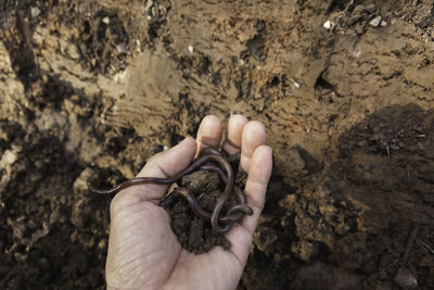 High angle view of human hand