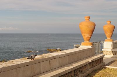 Pigeon perching on retaining wall against horizon during sunset