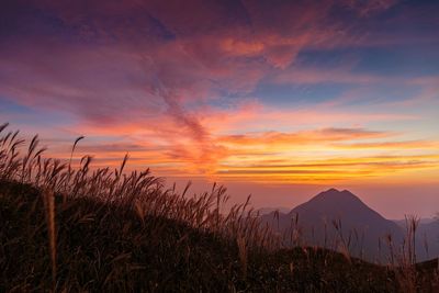 Scenic view of field against sky during sunset