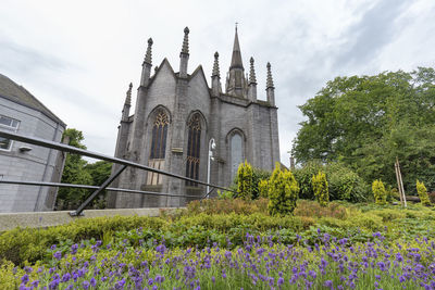 Low angle view of flowering plants by building against sky