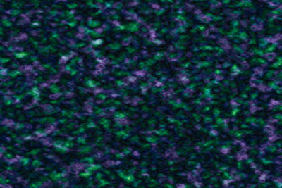 Defocused image of plants