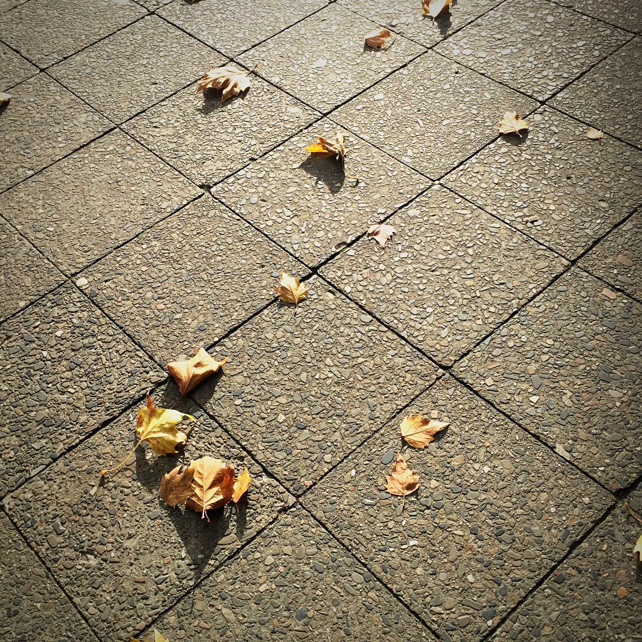 high angle view, street, leaf, cobblestone, dry, yellow, paving stone, ground, autumn, fallen, day, sidewalk, footpath, outdoors, no people, change, nature, fragility, sunlight, asphalt