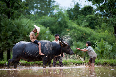 Full length of man feeding on land