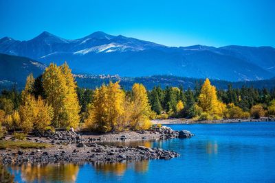 Scenic view of lake in forest during winter